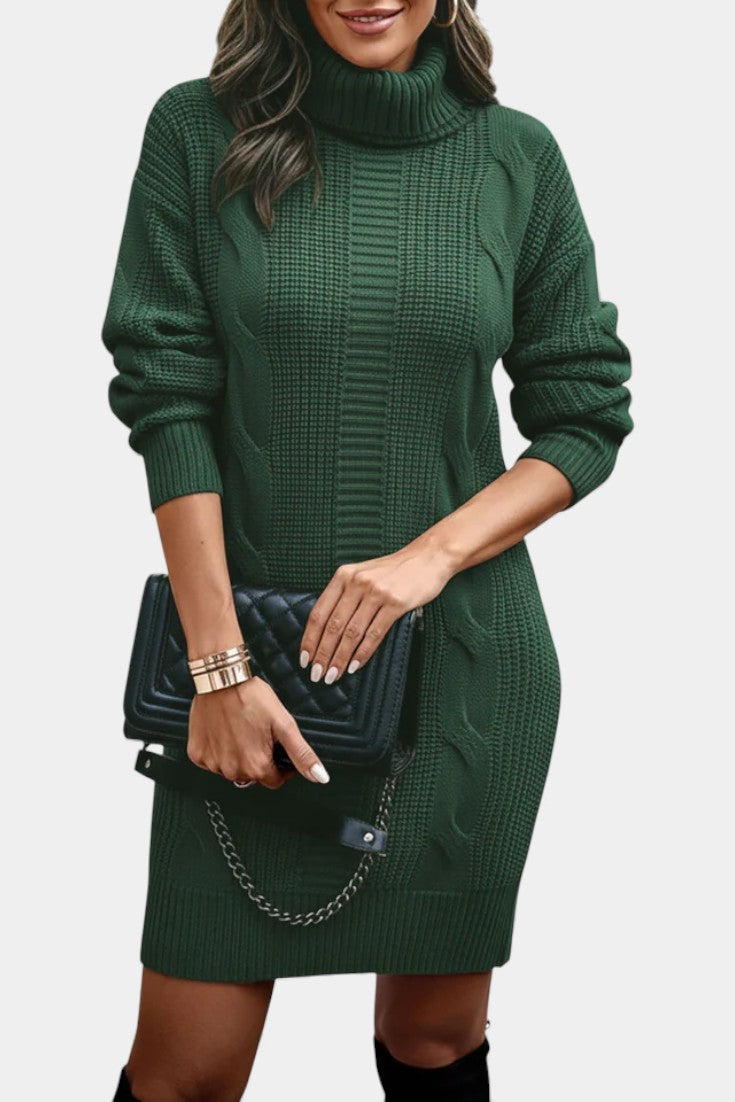 Elinora - Cozy Knit Turtleneck Sweater Dress 